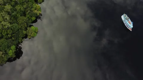 Aerial View of the Amazon Rainforest and Rio Negro, Brazil Stock Footage 339638684