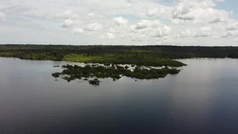 Aerial View of the Amazon Rainforest and Rio Negro, Brazil Stock Footage 339638688