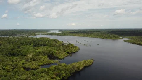 Aerial View of the Amazon Rainforest and Rio Negro, Brazil Stock Footage 339638694