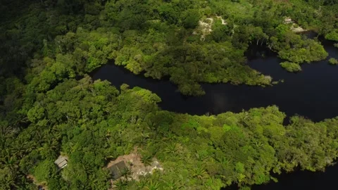 Aerial View of the Amazon Rainforest and Rio Negro, Brazil Stock Footage 339638700