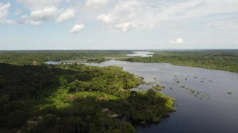 Aerial View of the Amazon Rainforest and Rio Negro, Brazil Stock Footage 339638707