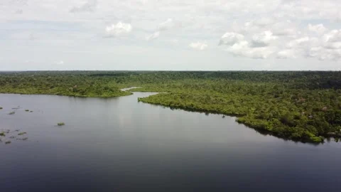 Aerial View of the Amazon Rainforest and Rio Negro, Brazil Stock Footage 339638726