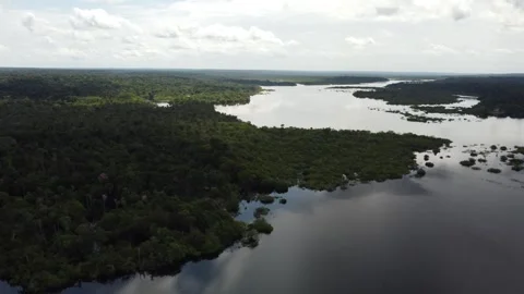 Aerial View of the Amazon Rainforest and Rio Negro, Brazil Stock Footage 339638732