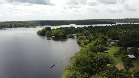 Aerial View of the Amazon Rainforest and Rio Negro, Brazil Stock Footage 339638798
