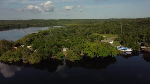 Aerial View of the Amazon Rainforest and Rio Negro, Brazil Stock Footage 339638840