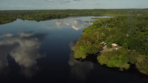 Aerial View of the Amazon Rainforest and Rio Negro, Brazil Stock Footage 339638943