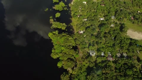 Aerial View of the Amazon Rainforest and Rio Negro, Brazil Stock Footage 339638944
