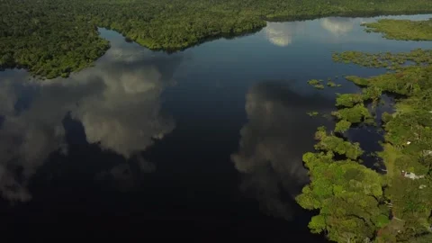 Aerial View of the Amazon Rainforest and Rio Negro, Brazil Stock Footage 339638945