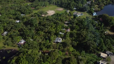 Aerial View of the Amazon Rainforest and Rio Negro, Brazil Stock Footage 339638968