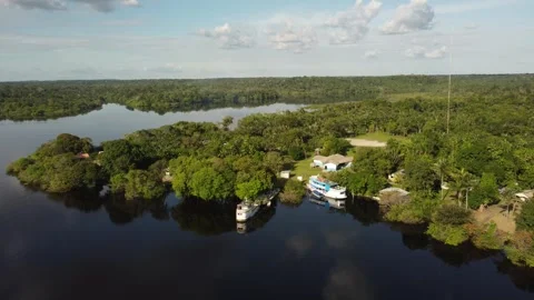 Aerial View of the Amazon Rainforest and Rio Negro, Brazil Stock Footage 339639016