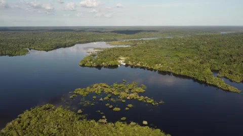 Aerial View of the Amazon Rainforest and Rio Negro, Brazil Stock Footage 339639021