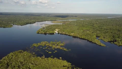 Aerial View of the Amazon Rainforest and Rio Negro, Brazil Stock Footage 339639022