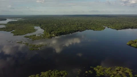 Aerial View of the Amazon Rainforest and Rio Negro, Brazil Stock Footage 339639041
