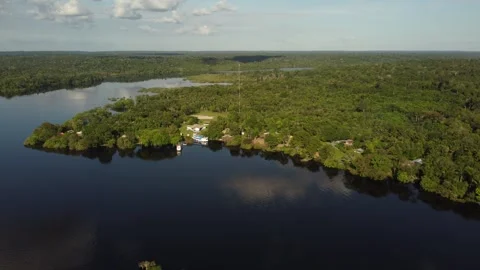 Aerial View of the Amazon Rainforest and Rio Negro, Brazil Stock Footage 339639056