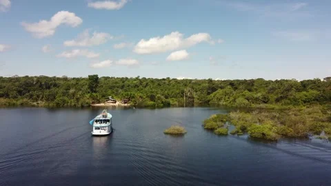 Aerial View of the Amazon Rainforest and Rio Negro, Brazil Stock Footage 339639068