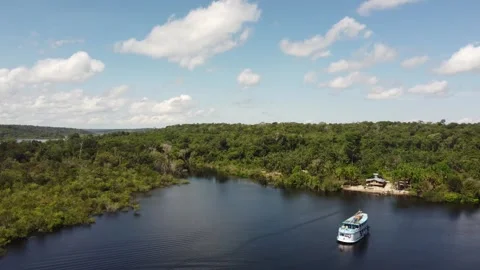 Aerial View of the Amazon Rainforest and Rio Negro, Brazil Stock Footage 339639071