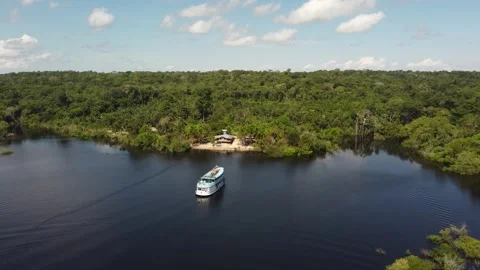 Aerial View of the Amazon Rainforest and Rio Negro, Brazil Stock Footage 339639082