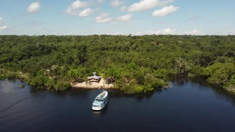 Aerial View of the Amazon Rainforest and Rio Negro, Brazil Stock Footage 339639086