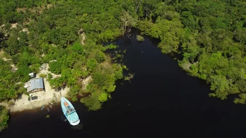 Aerial View of the Amazon Rainforest and Rio Negro, Brazil Stock Footage 339639100
