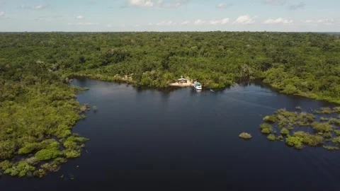 Aerial View of the Amazon Rainforest and Rio Negro, Brazil Stock Footage 339639104