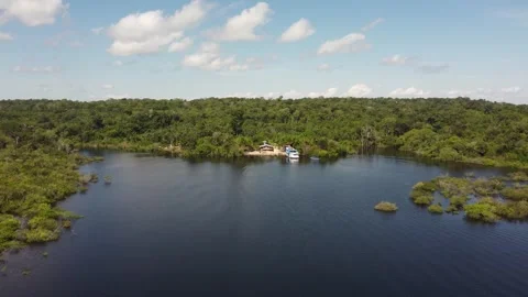 Aerial View of the Amazon Rainforest and Rio Negro, Brazil Stock Footage 339639109
