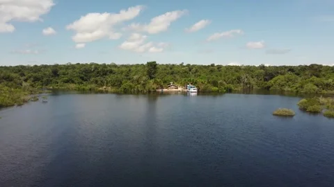 Aerial View of the Amazon Rainforest and Rio Negro, Brazil Stock Footage 339639110
