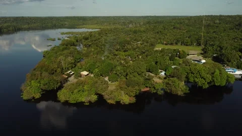 Aerial View of the Amazon Rainforest and Rio Negro, Brazil Stock Footage 339639231
