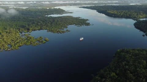 Aerial View of the Amazon Rainforest and Rio Negro, Brazil Stock Footage 339639232