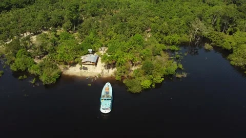 Aerial View of the Amazon Rainforest and Rio Negro, Brazil Stock Footage 339672709