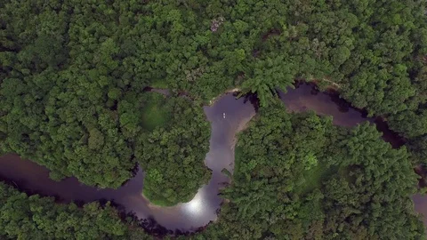 Aerial View of Amazon Rainforest, Brazil Stock Footage