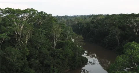 Aerial View, Amazon rainforest, Ecuador Video stock 196834853