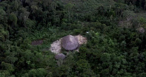 Aerial View, Amazon rainforest, Ecuador Video stock 196838696