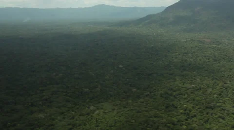 Aerial view of the Amazon rainforest Stock Footage 29480544