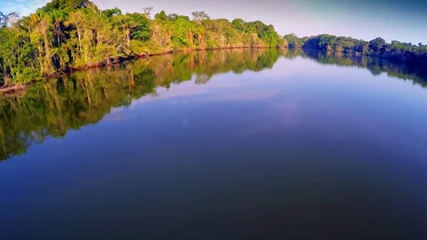Aerial view of Amazon Rainforest Stock Footage 73277437