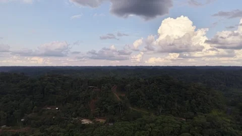 Aerial View of Amazon Rainforest River in Ecuador Stock Footage 336492007