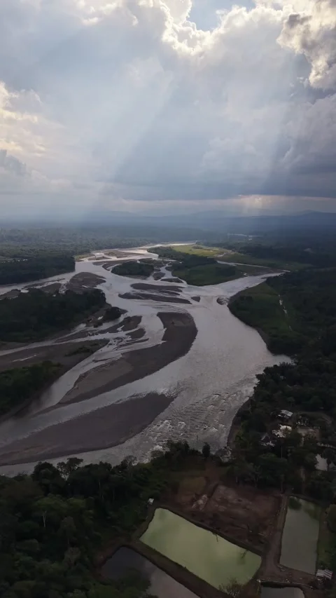 Aerial View of Amazon Rainforest River in Ecuador Stock Footage 336492038