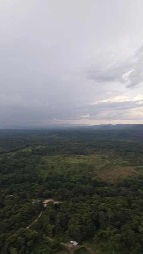 Aerial View of Amazon Rainforest River in Ecuador Stock Footage 336492043