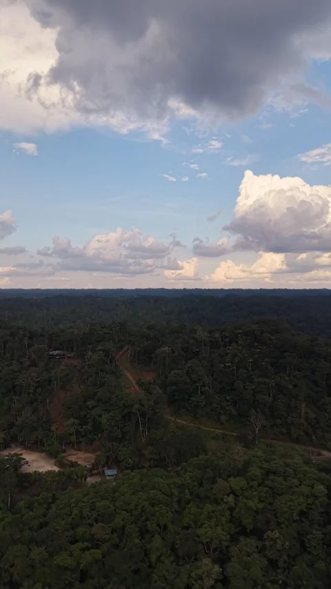 Aerial View of Amazon Rainforest River in Ecuador Stock Footage 336492053