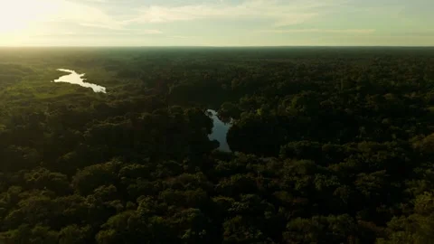 Aerial view of amazon rainforest river at sunset Stock Footage 342815478
