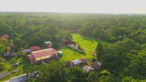 Aerial view of Amazon rainforest small settlement nestled amid dense, verdant 스톡 동영상 308411235