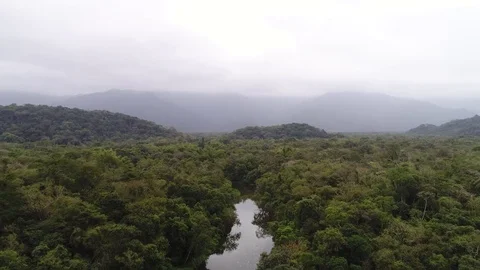 Aerial View of Amazon Rainforest, South America Vídeos de archivo 80358136