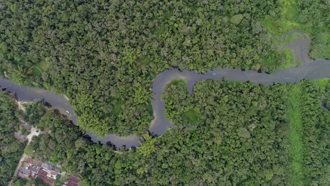 Aerial View of Amazon Rainforest, South America Stock Footage