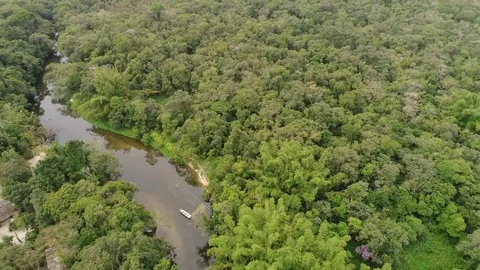 Aerial View of Amazon Rainforest, South America Stock Footage 80358656