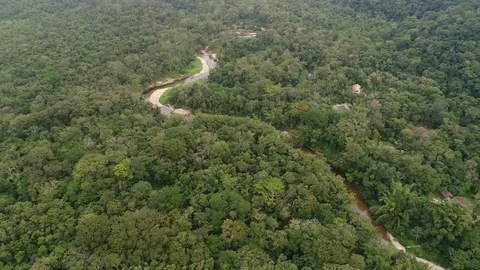 Aerial View of Amazon Rainforest, South America Stock Footage 80378171
