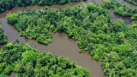 Aerial View of Amazon River and Lush Jungle Stock-Footage 289804523