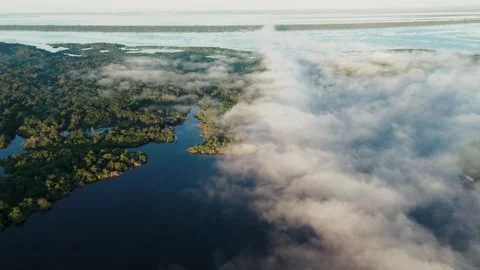 Aerial View of Amazon River and Forest Covered in Morning Fog Stock Footage 322114730