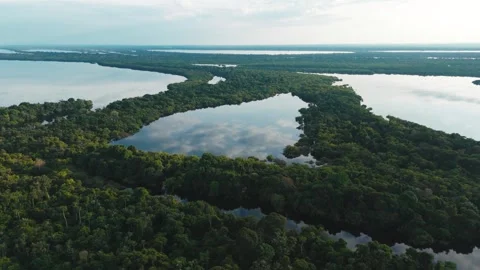 Aerial View of the Amazon River and Dense Rainforest Stock Footage 322127540
