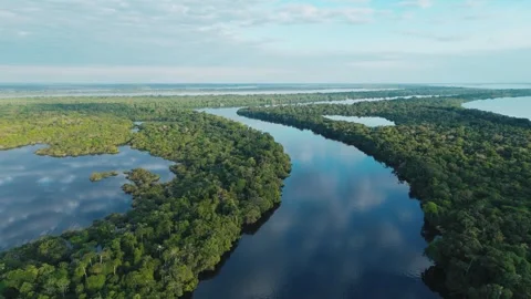 Aerial View of Amazon River and Dense Rainforest Stock Footage 322127542