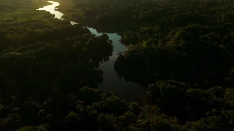Aerial view of amazon river and rainforest during sunset Stock Footage 342815321
