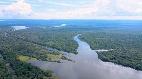 Aerial View of Amazon River in Colombia Stock Footage 330925757